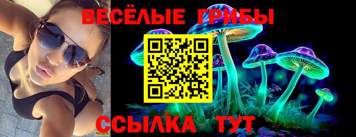 Псилоцибиновые грибы GOLDEN TEACHER  Вход с VPN  Кирово-Чепецк 